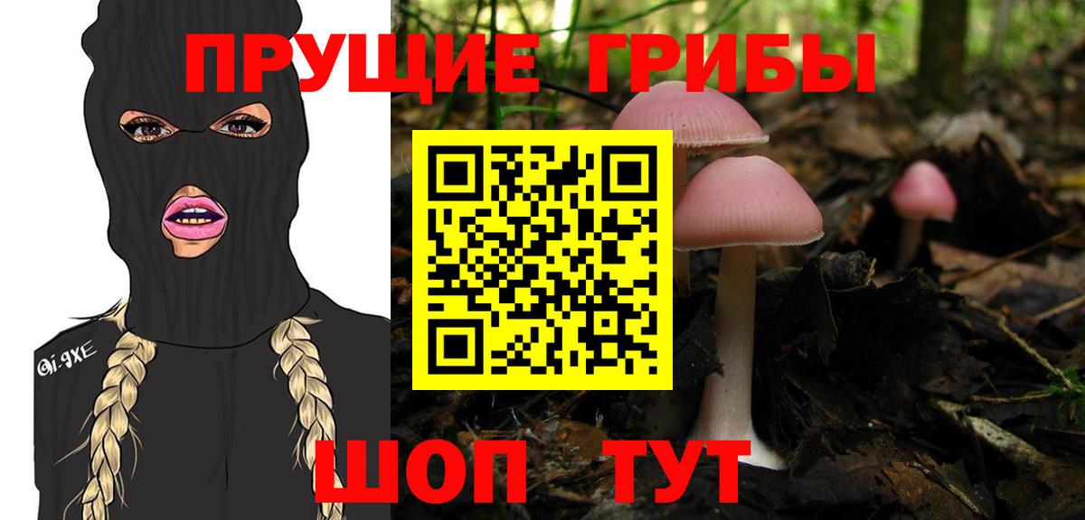 Ливны  Галлюциногенные грибы Psilocybine cubensis  Вход с VPN 