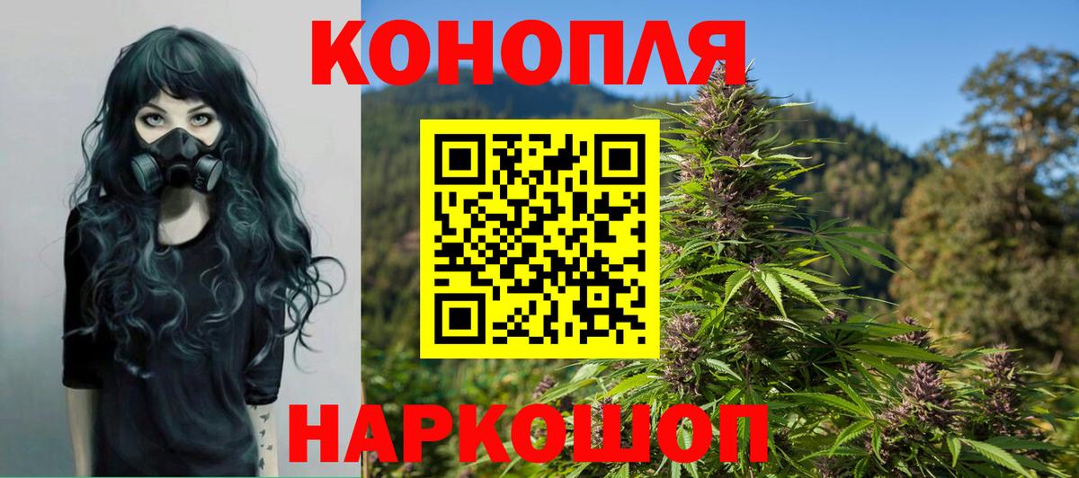 Бошки марихуана конопля Ливны